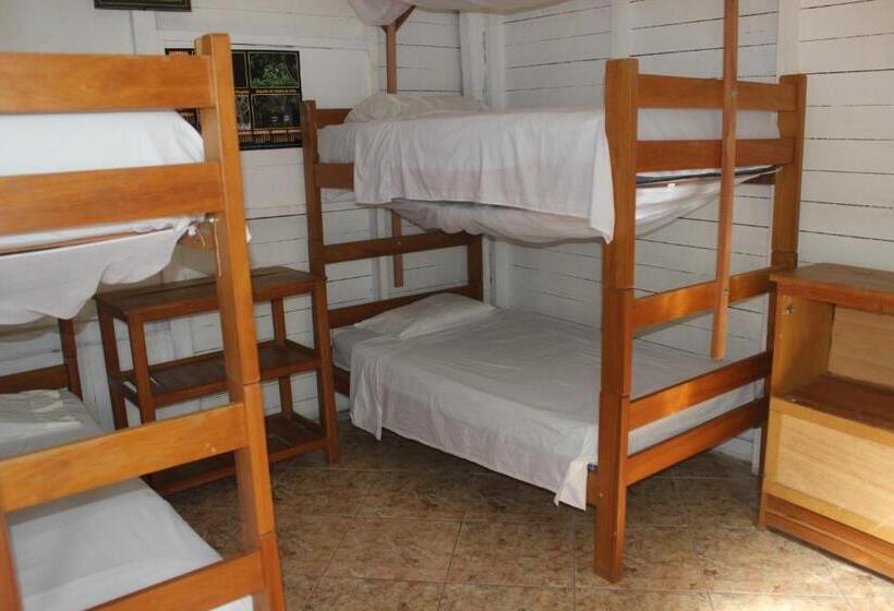 تختخواب و صبحانه Tambopata Hostel