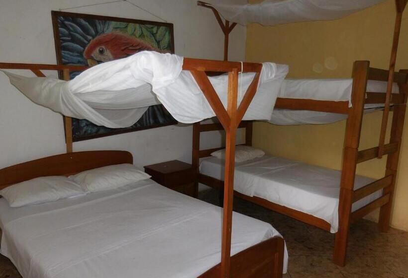 تختخواب و صبحانه Tambopata Hostel