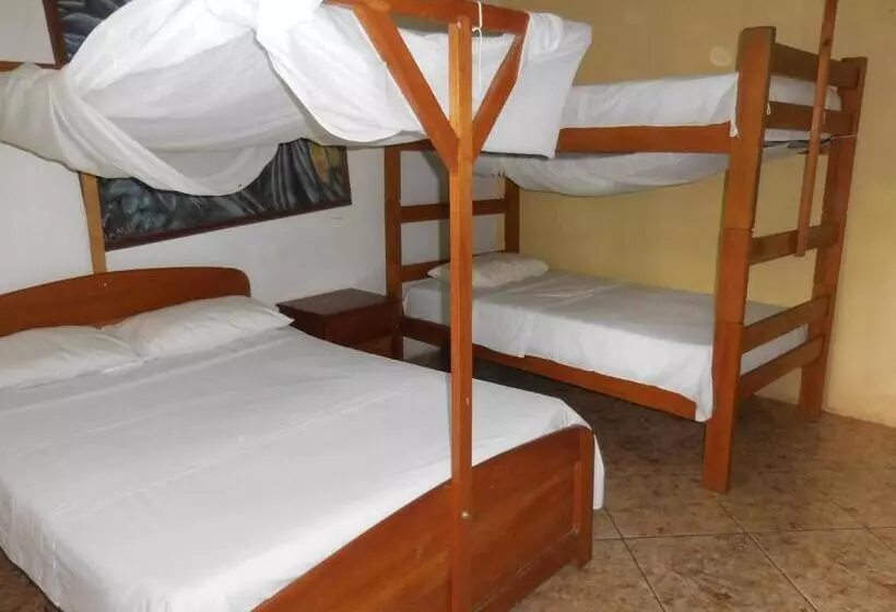 ベッドアンドブレックファースト Tambopata Hostel