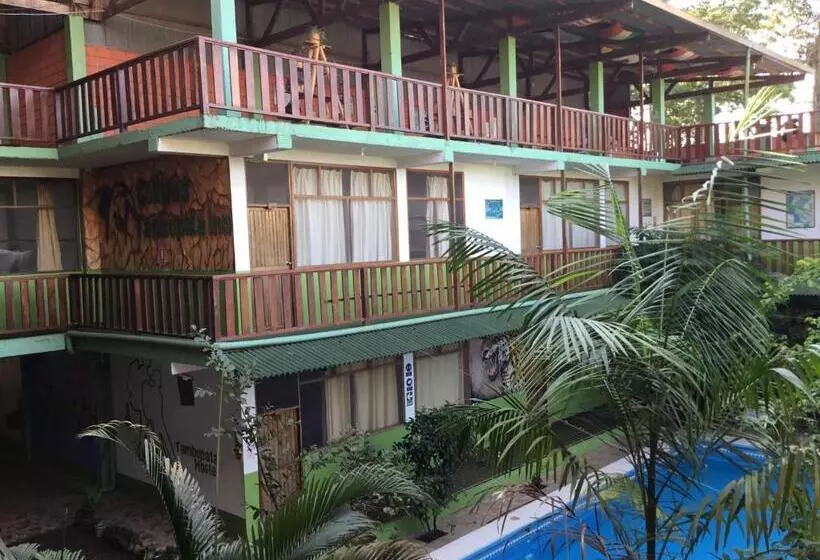 ベッドアンドブレックファースト Tambopata Hostel