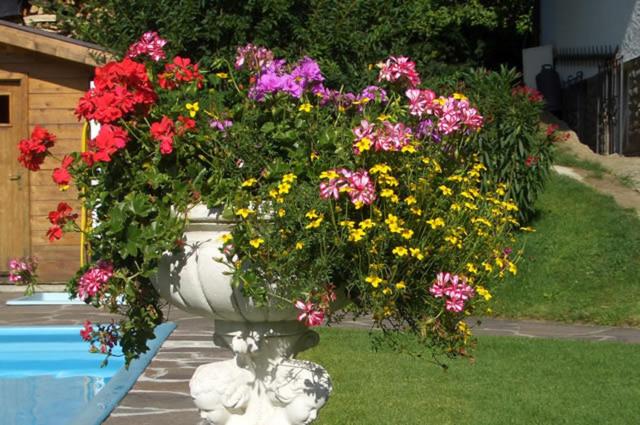 بنسيون Garni Eckhardwies