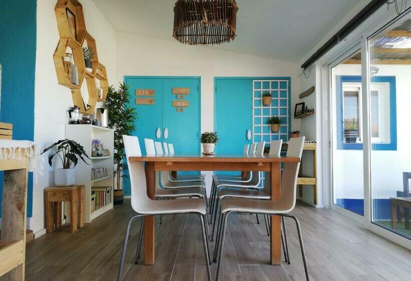 پانسیون International Surf School & Camp