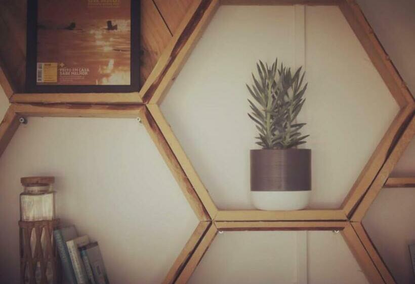 پانسیون International Surf School & Camp