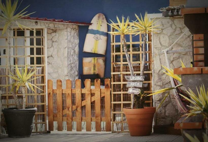 پانسیون International Surf School & Camp