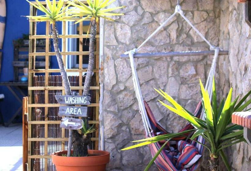 پانسیون International Surf School & Camp