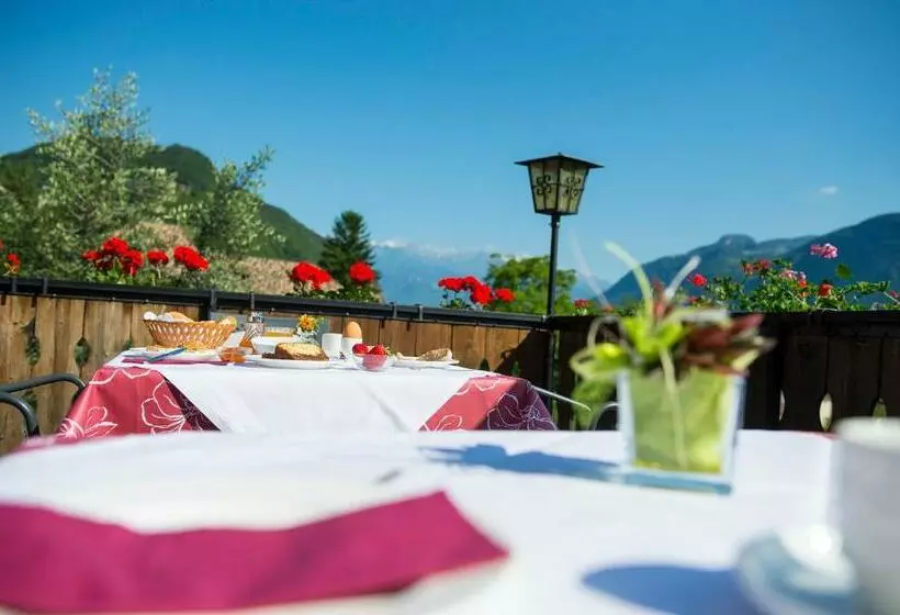 Pension Stamserhof
