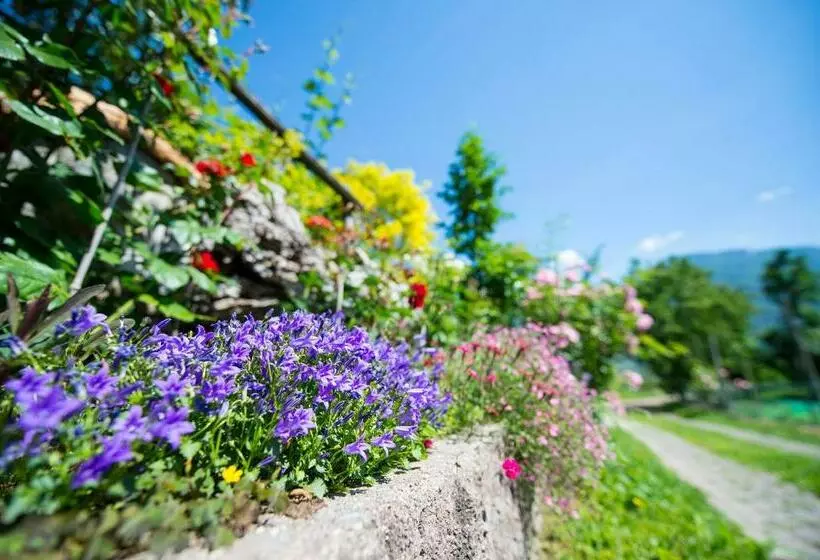 Pension Stamserhof