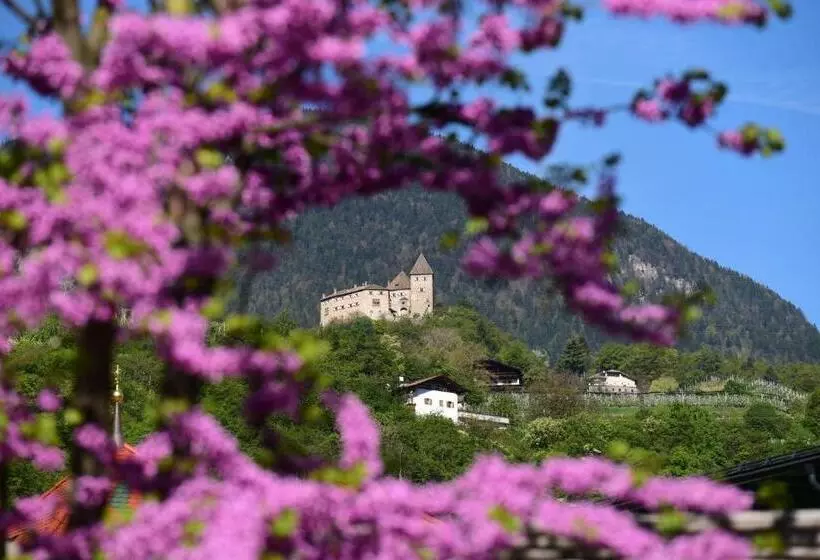 Pension Stamserhof