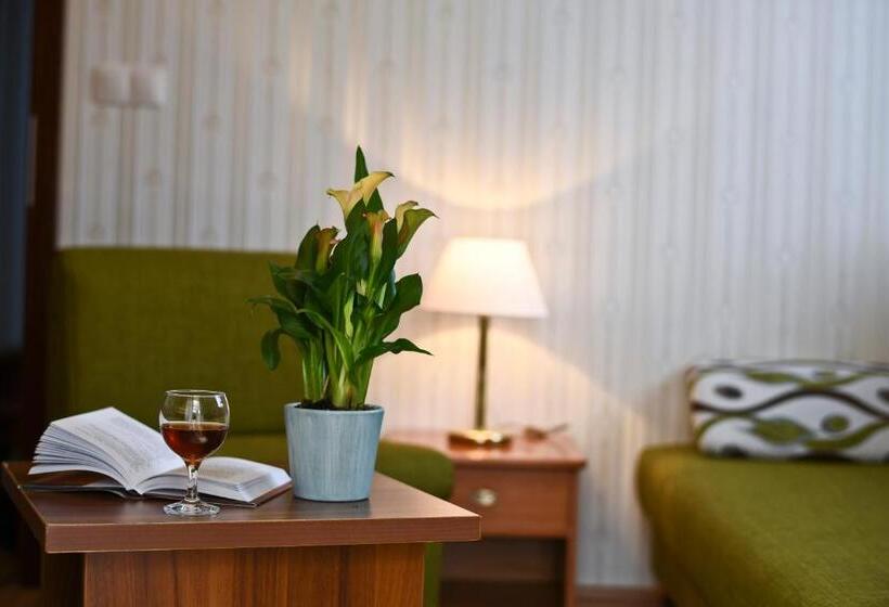 Rajna Villabridge&spa