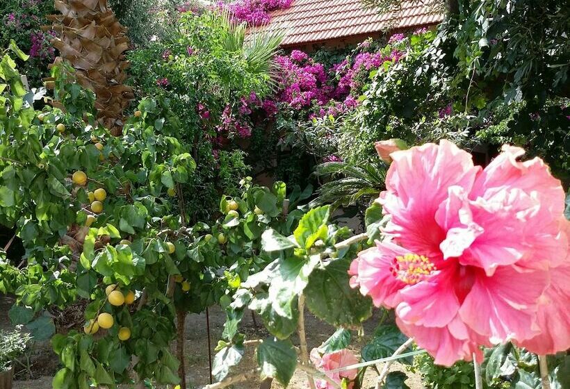 Beautiful Cottage In S West Crete Near The Sea