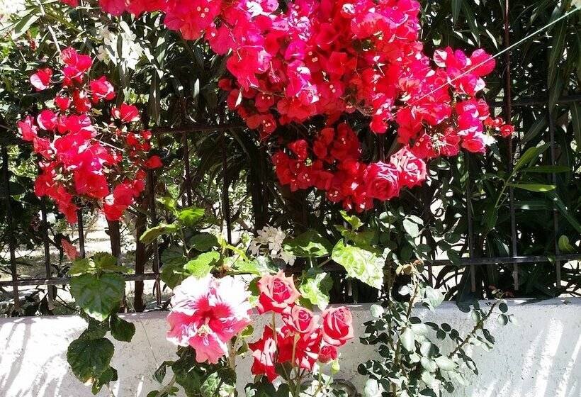 Beautiful Cottage In S West Crete Near The Sea