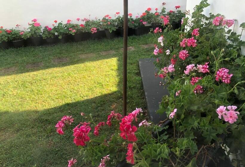 پانسیون Bungalow 28