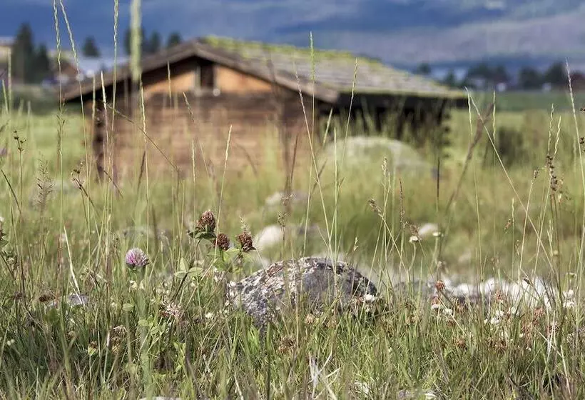 モーテル Mountain Village Lodge