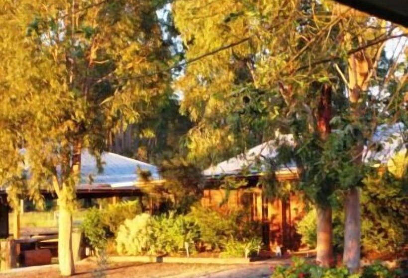 Up Country B & B Wondai