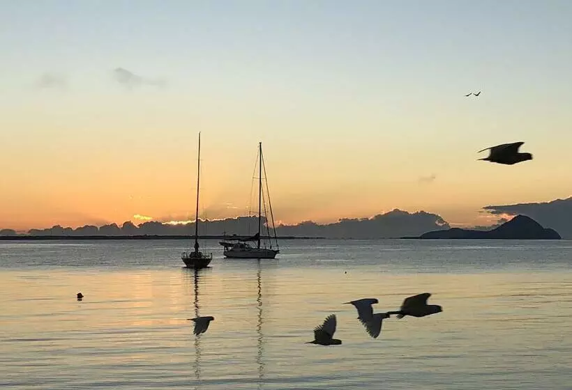 ペンション Salamander Beach Accommodation Adults Only