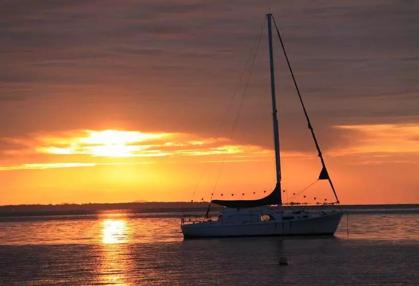 ペンション Salamander Beach Accommodation Adults Only