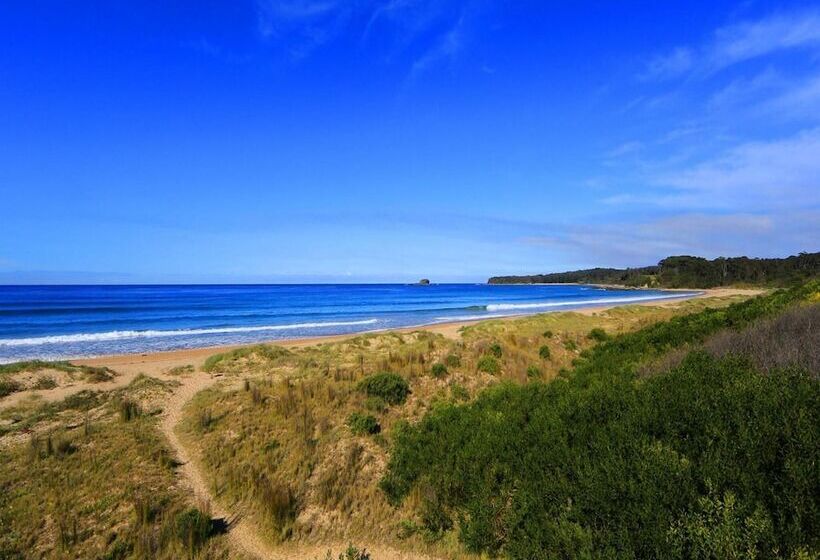 Курорт Big4 South Durras Holiday Park