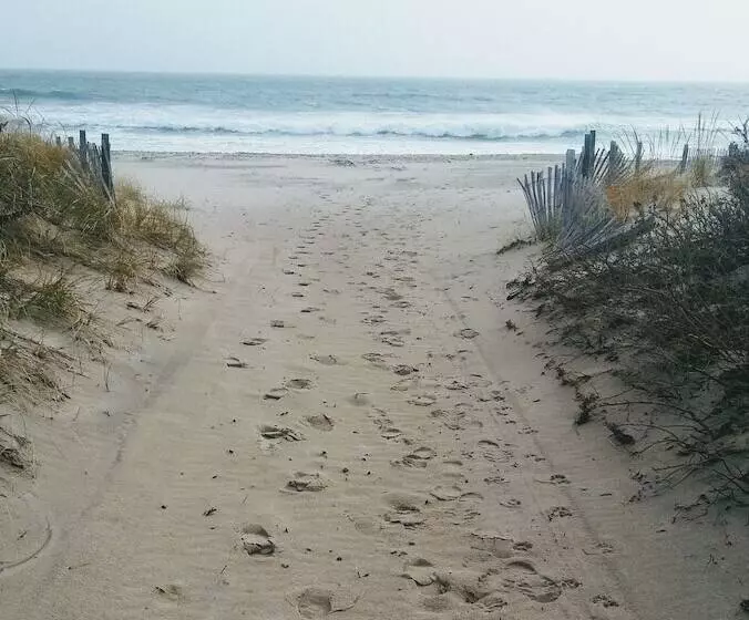 Aamiaismajoitus (B&B) The Blue Dory Inn