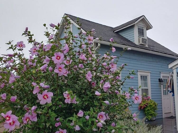 Bed and Breakfast The Blue Dory Inn