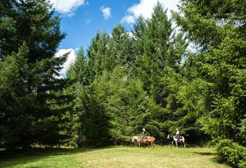 Chehalis Camping Resort Cottage 5