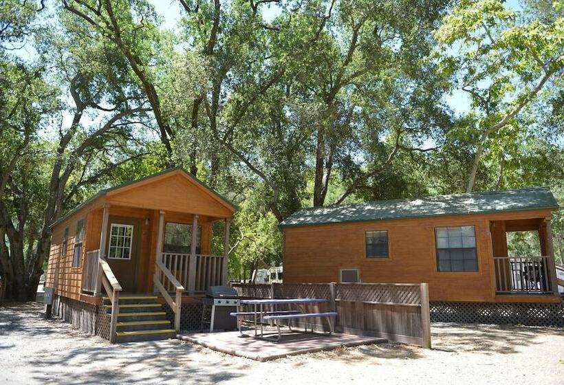 ホテル Morgan Hill Rv Resort   Campsite