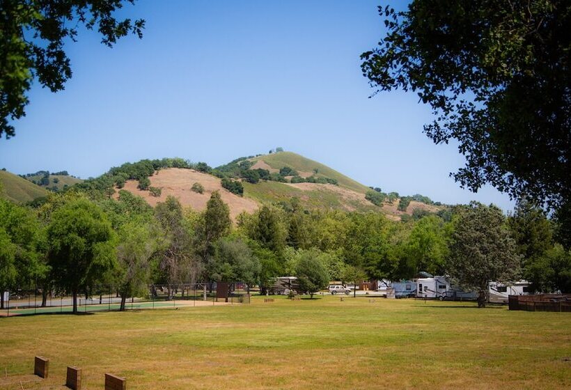 ホテル Morgan Hill Rv Resort   Campsite