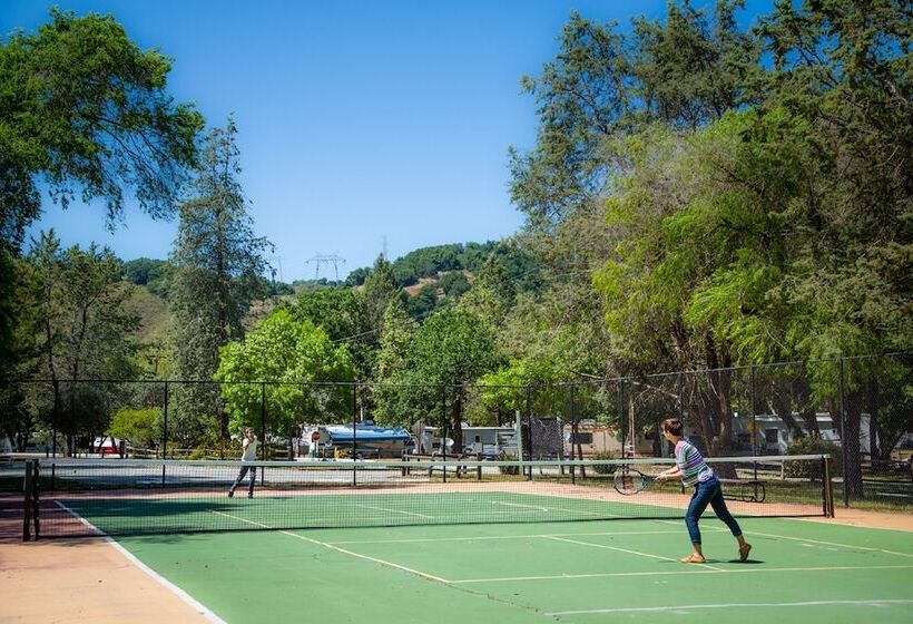 ホテル Morgan Hill Rv Resort   Campsite