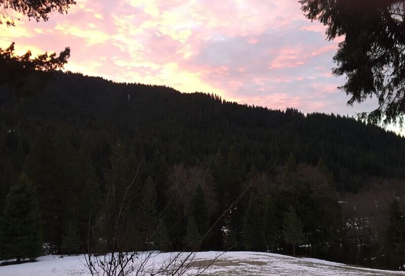 モーテル Dunsmuir Lodge