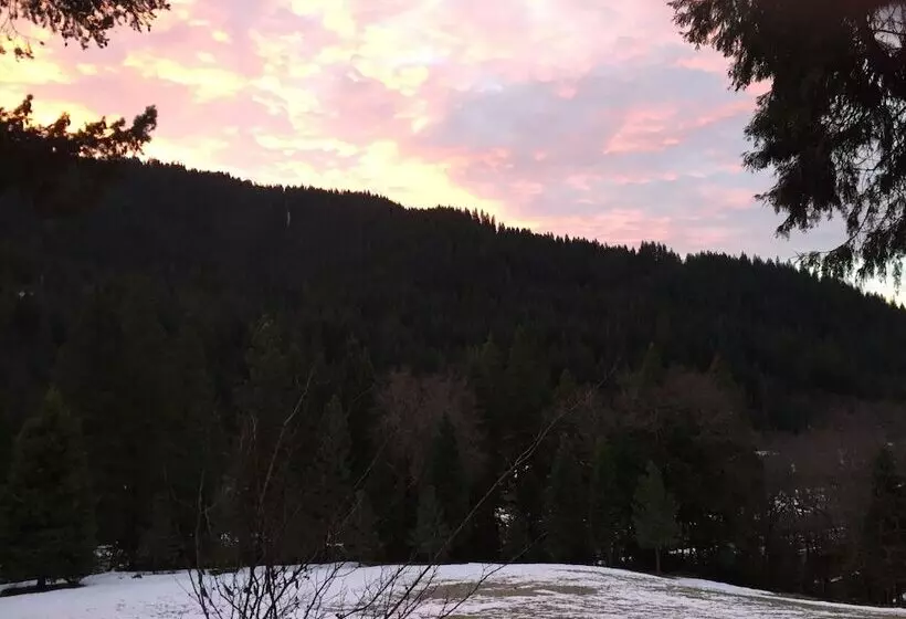 Motelli Dunsmuir Lodge