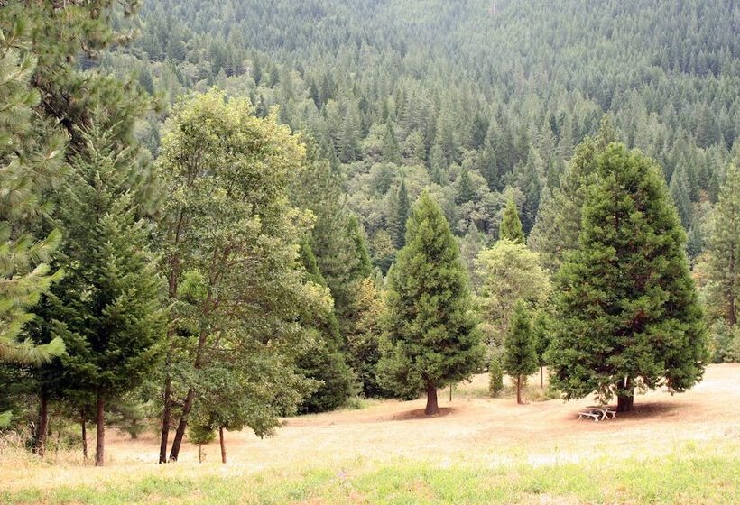 モーテル Dunsmuir Lodge