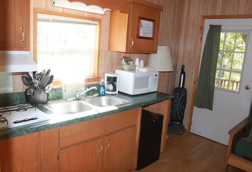 汽车旅馆  Virginia Creek Settlement