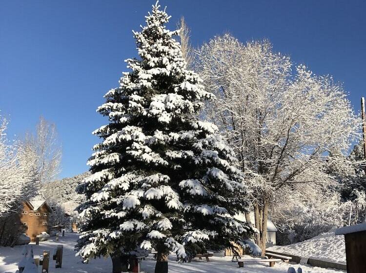 汽车旅馆  Virginia Creek Settlement