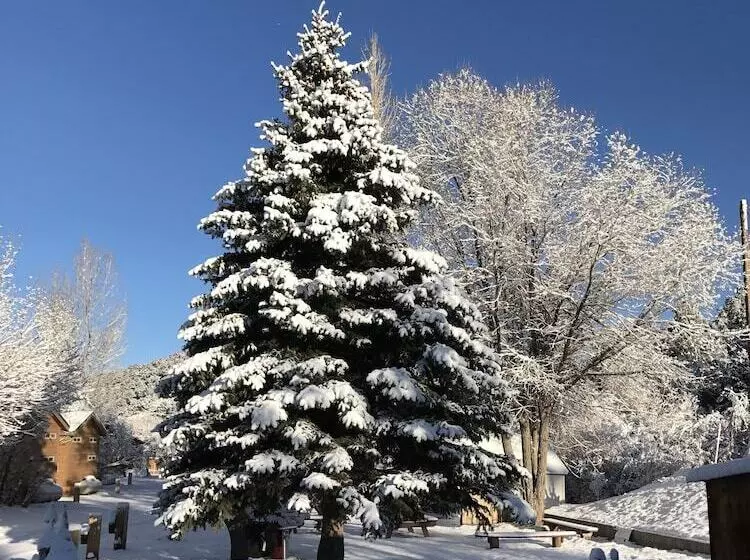Motelli Virginia Creek Settlement