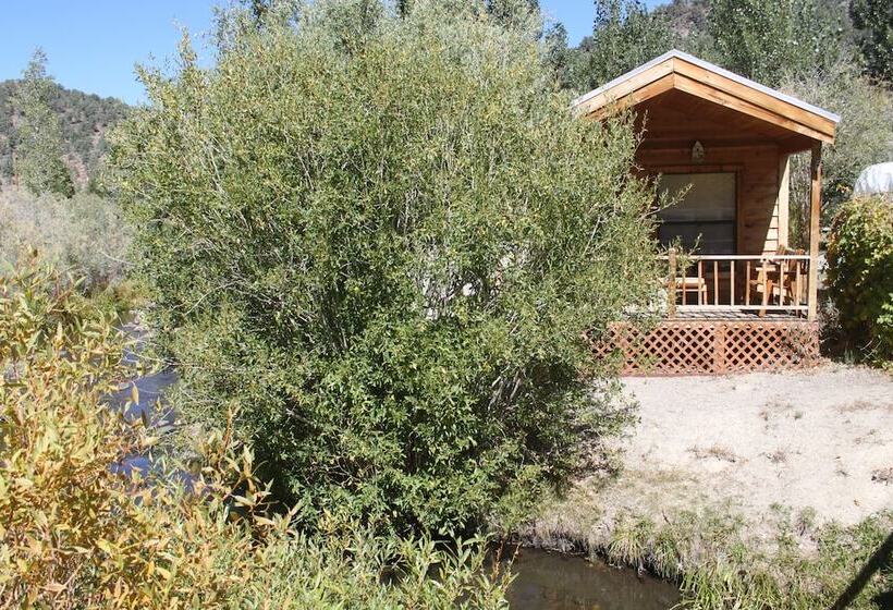 汽车旅馆  Virginia Creek Settlement