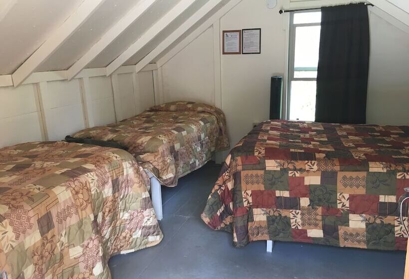 汽车旅馆  Virginia Creek Settlement