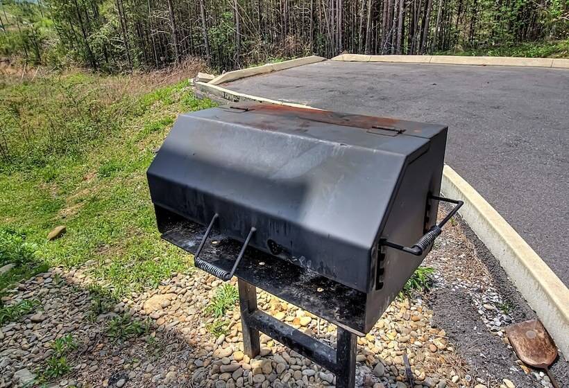 Bear Cove Falls #4133