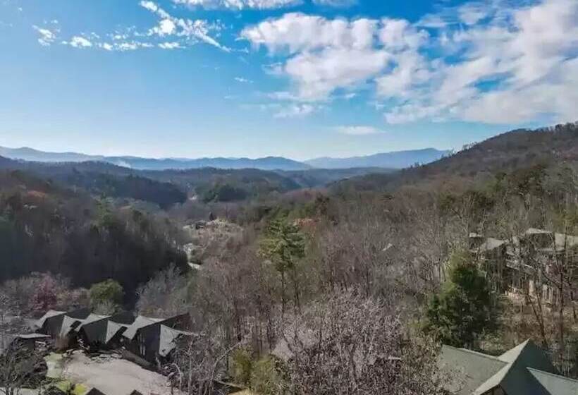 Bear Cove Falls #4133