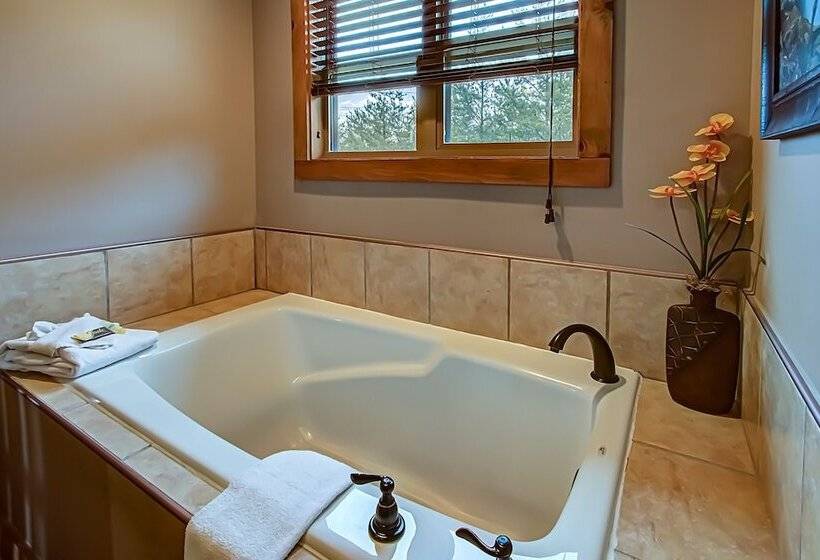 Bear Cove Falls #4133