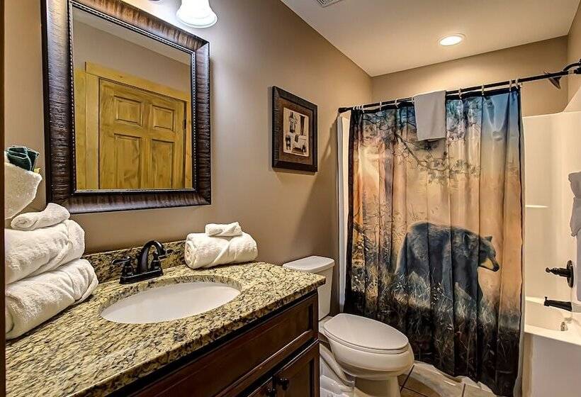 Bear Cove Falls #4133