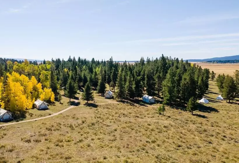 ホテル Tammah   Yellowstone   Glamping