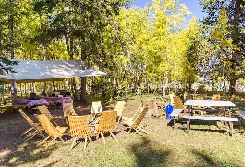 ホテル Tammah   Yellowstone   Glamping