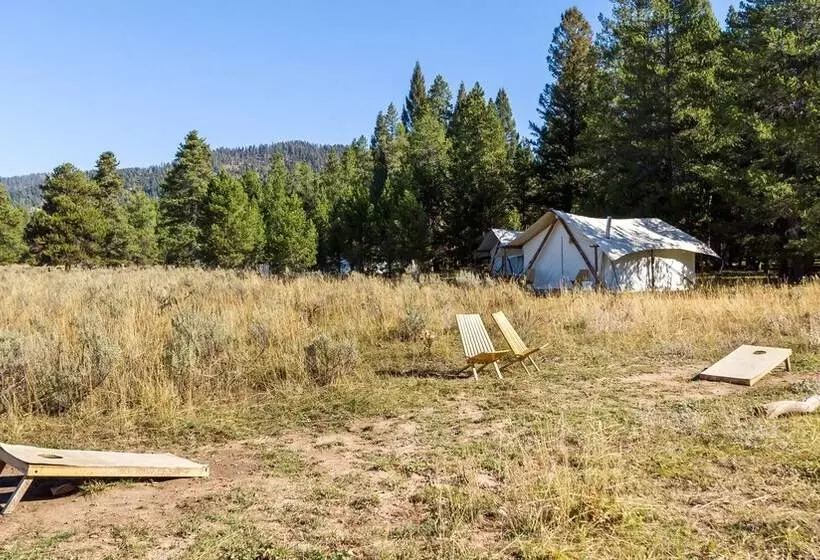 ホテル Tammah   Yellowstone   Glamping