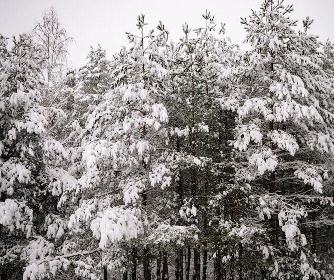 فندق Tammah   Yellowstone   Glamping