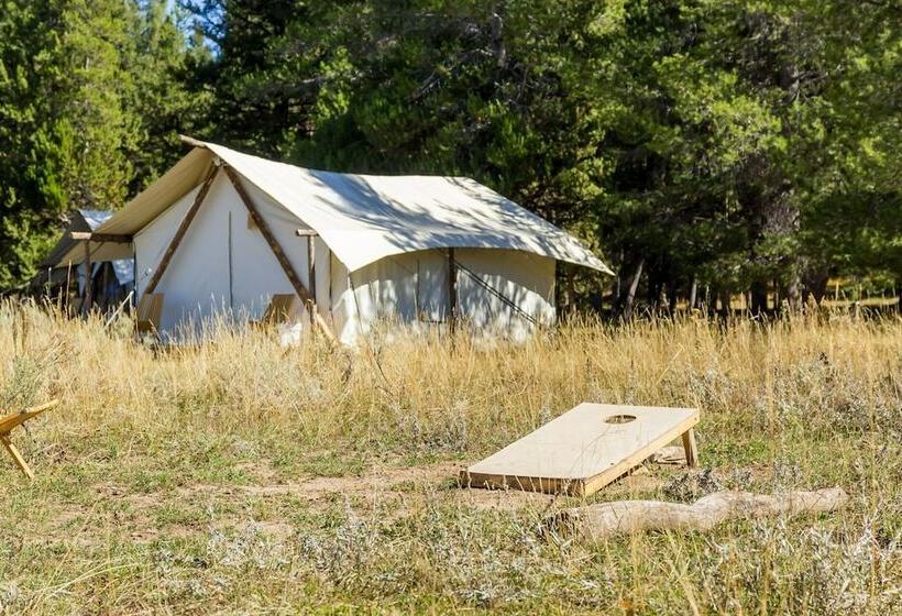 فندق Tammah   Yellowstone   Glamping