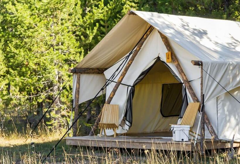 فندق Tammah   Yellowstone   Glamping