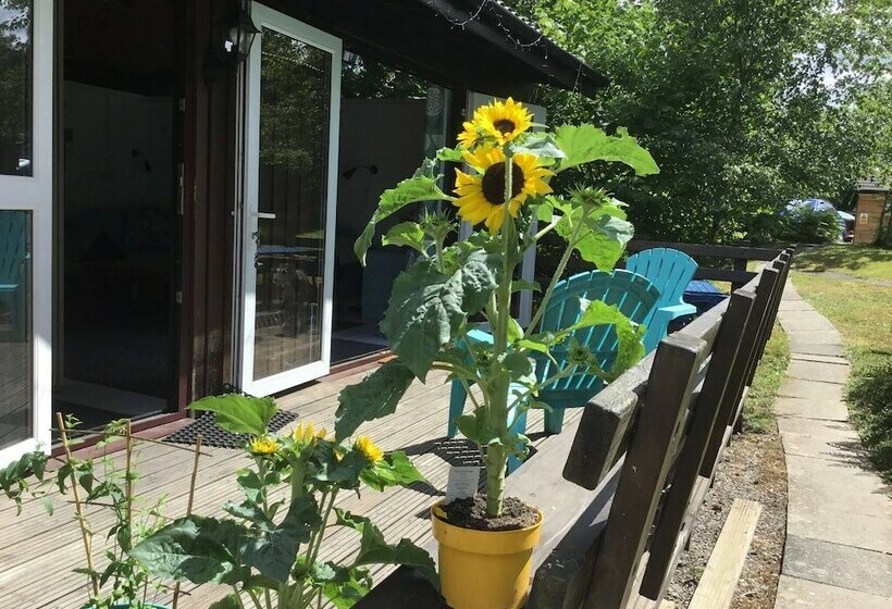 Caban Bach  The Little Cabin Cosy Cabin With Huge Sunny Deck