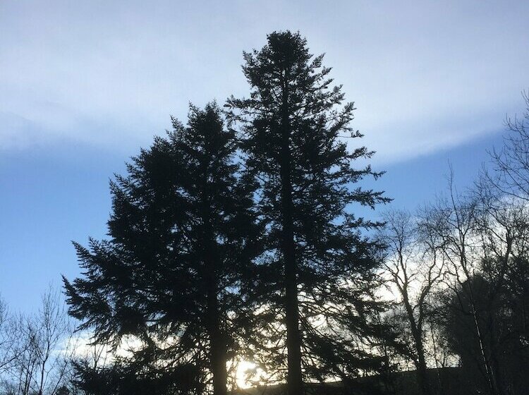 Caban Bach  The Little Cabin Cosy Cabin With Huge Sunny Deck