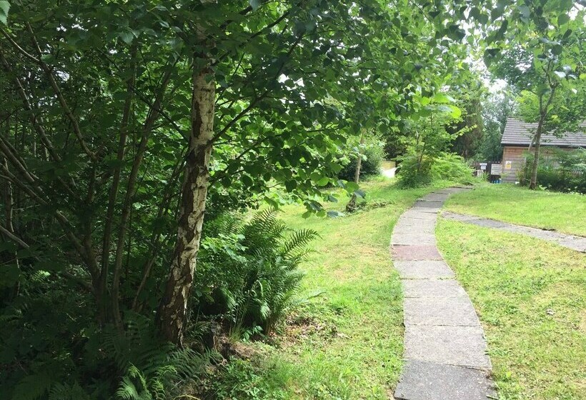 Caban Bach  The Little Cabin Cosy Cabin With Huge Sunny Deck