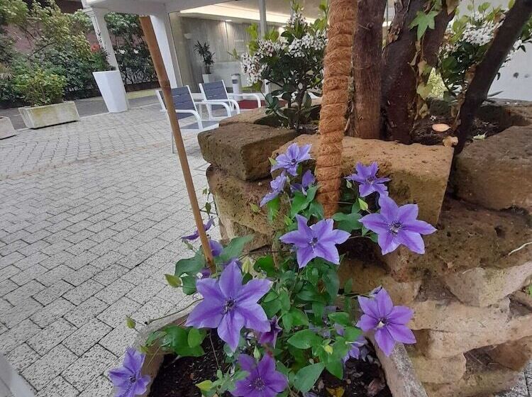 مسافرخانه Royal Plaza