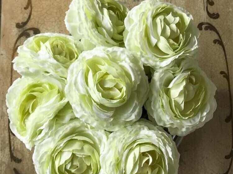 تختخواب و صبحانه The Music Fable